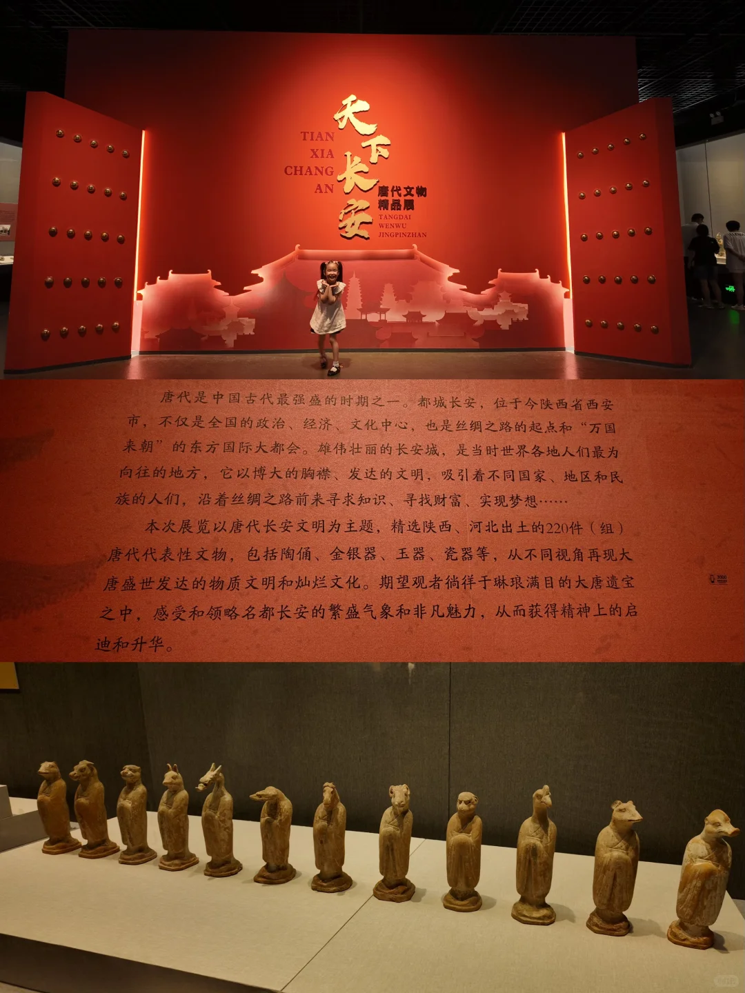 石家庄遛娃丨暑期打卡河博四场临展?