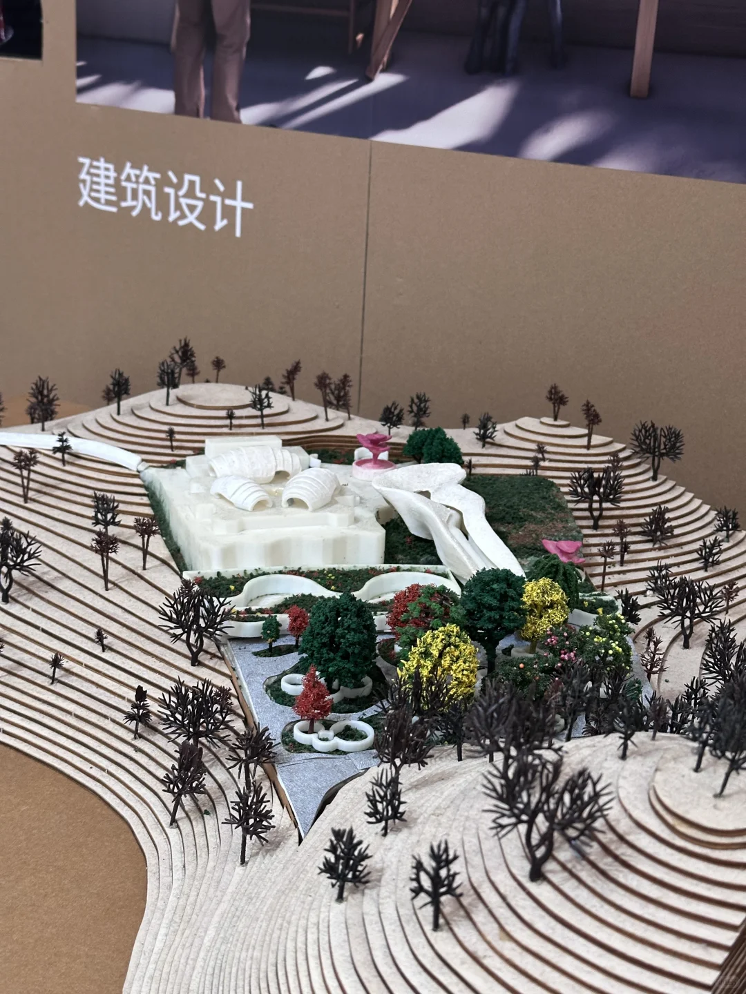 香港知专设计展｜感受灵感炸裂的年轻力量