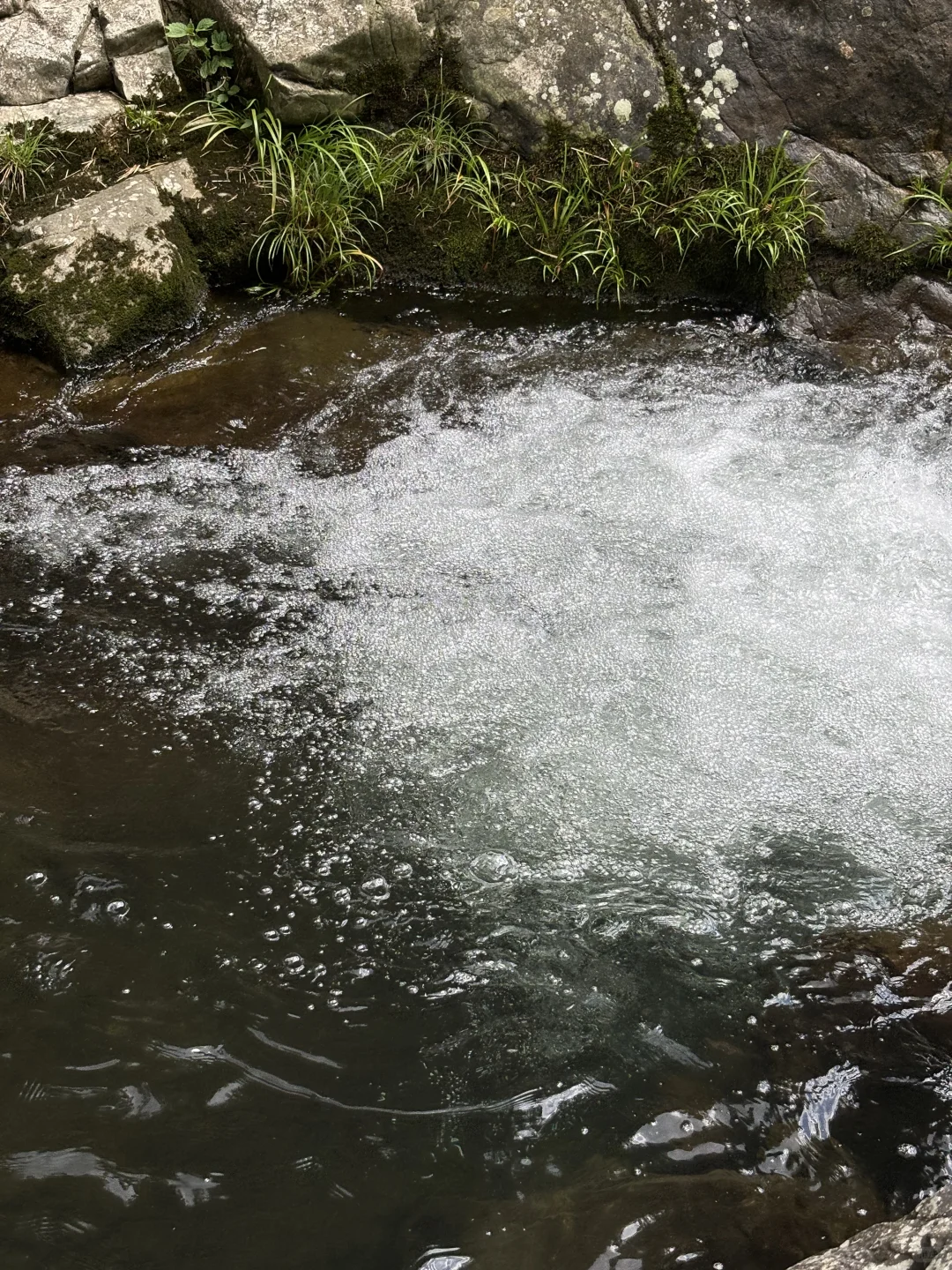 55岁退休日常，过一个不宅家的周末