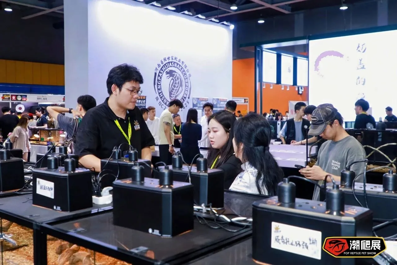 下一站武汉！潮爬展的“中部攻略”正式启动