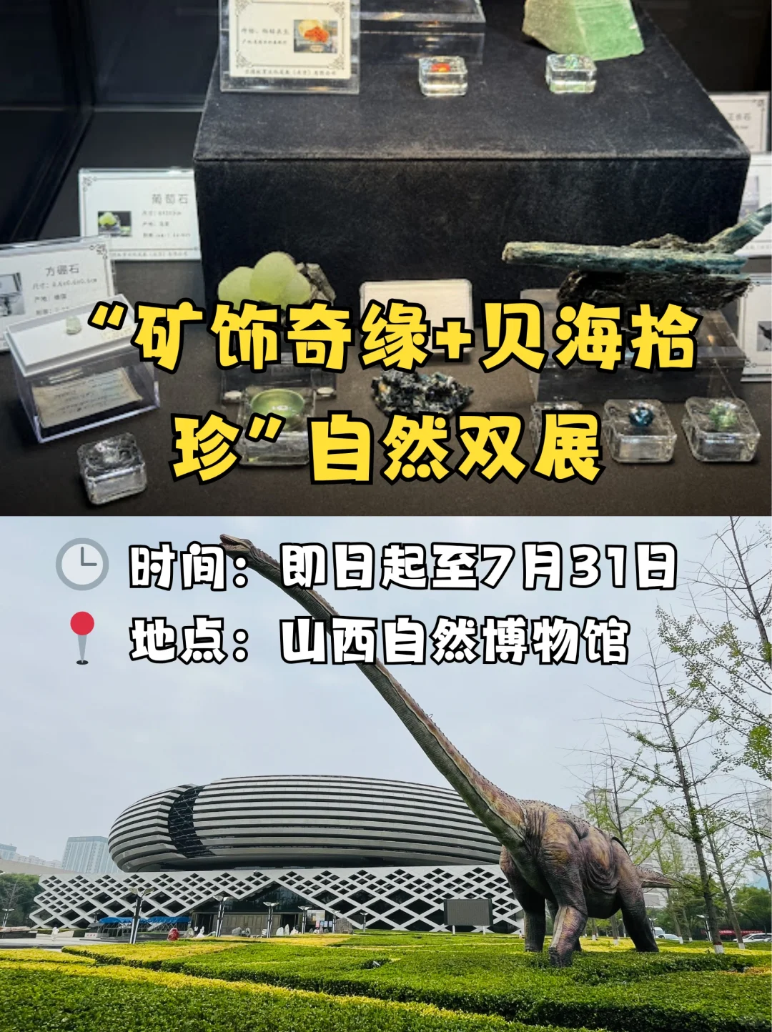 ?带娃看展｜太原7月5个不能错过的好展