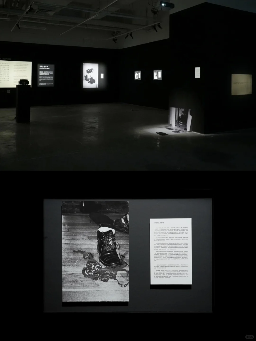 厦门7-8月看展合集‼️暑期展览资讯看这里