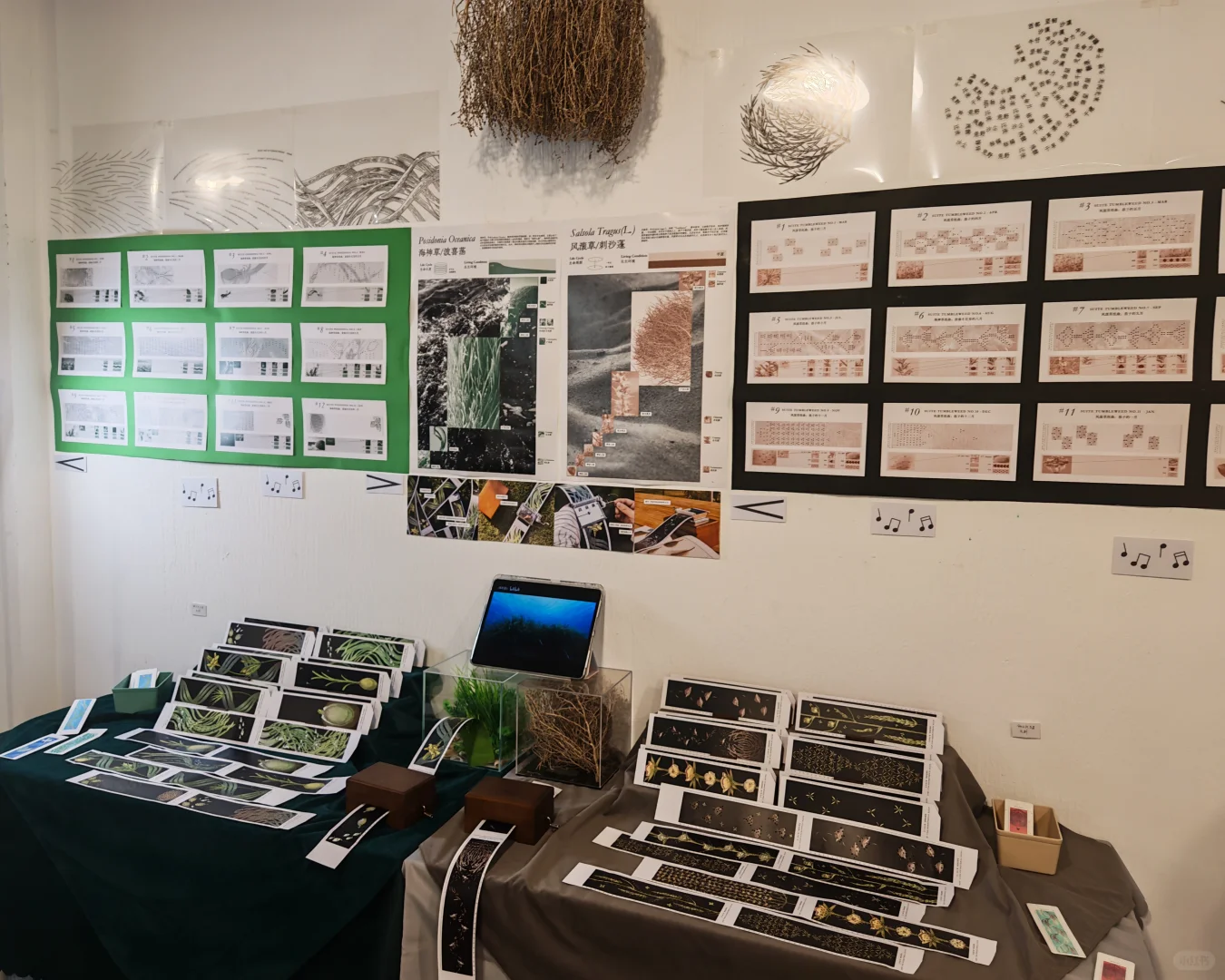 今年的视传毕设展