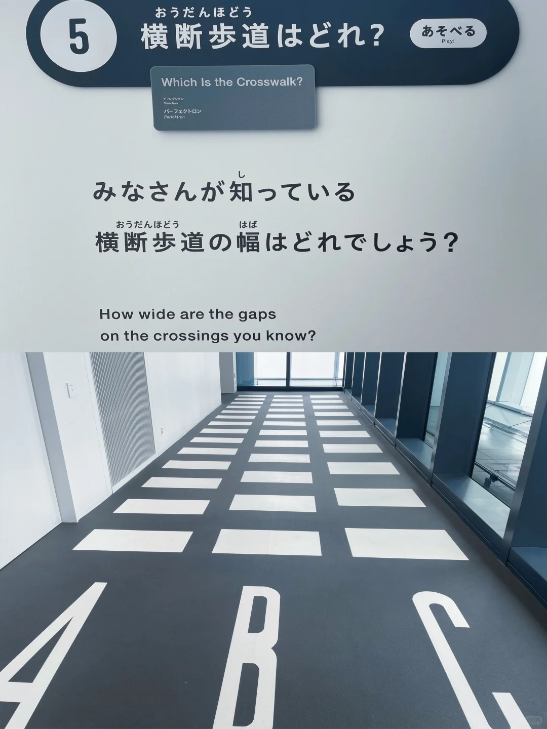 不来后悔❗东京デザインあ展neo展太绝了