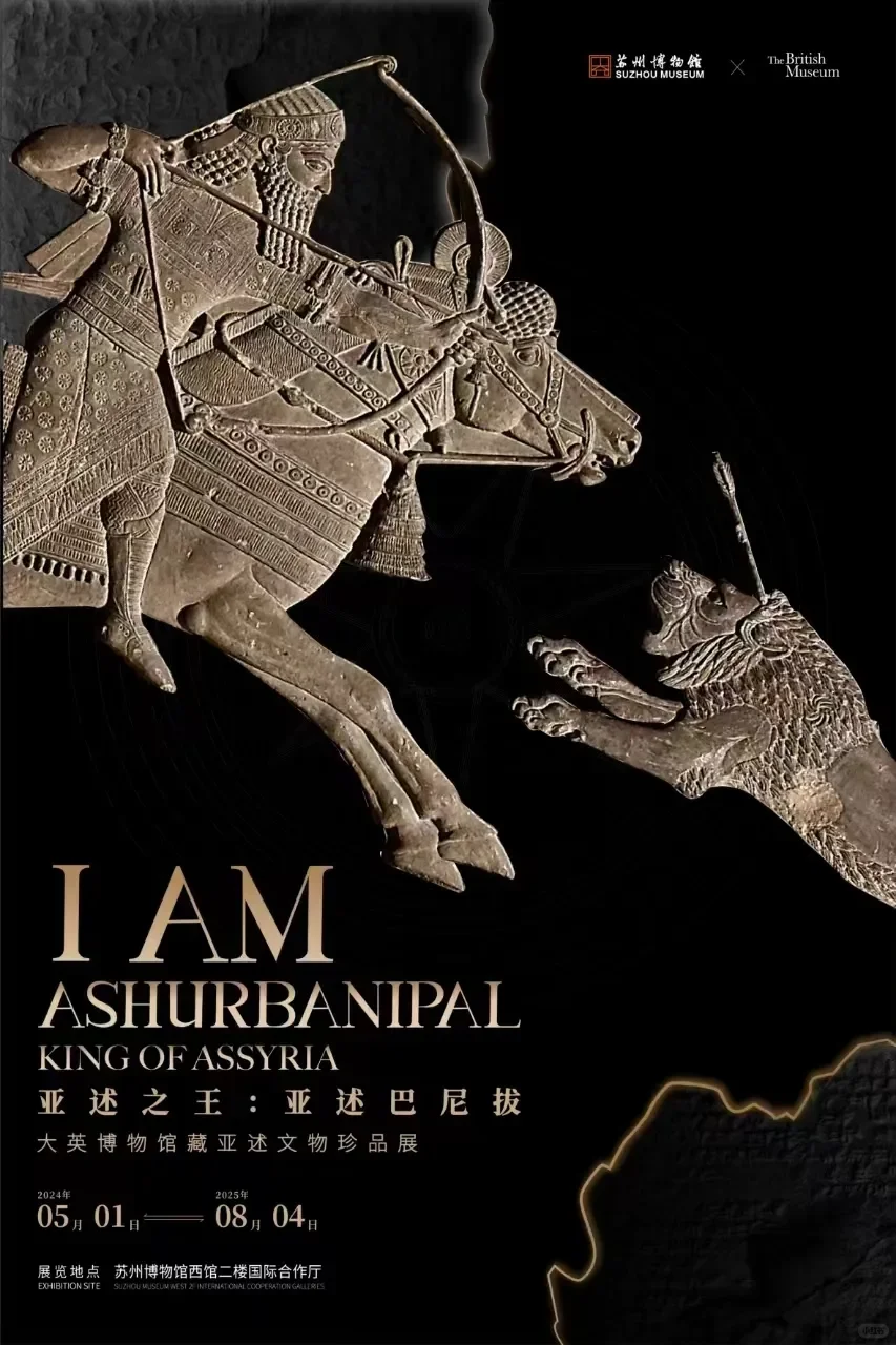 暑期纳凉好去处｜苏州七月看展指南