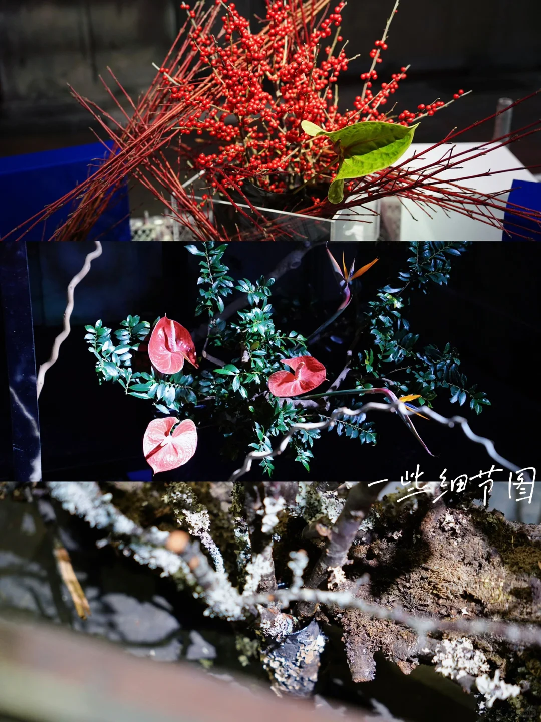 京都 Ⅰ 在废旧印刷厂看一场花道展