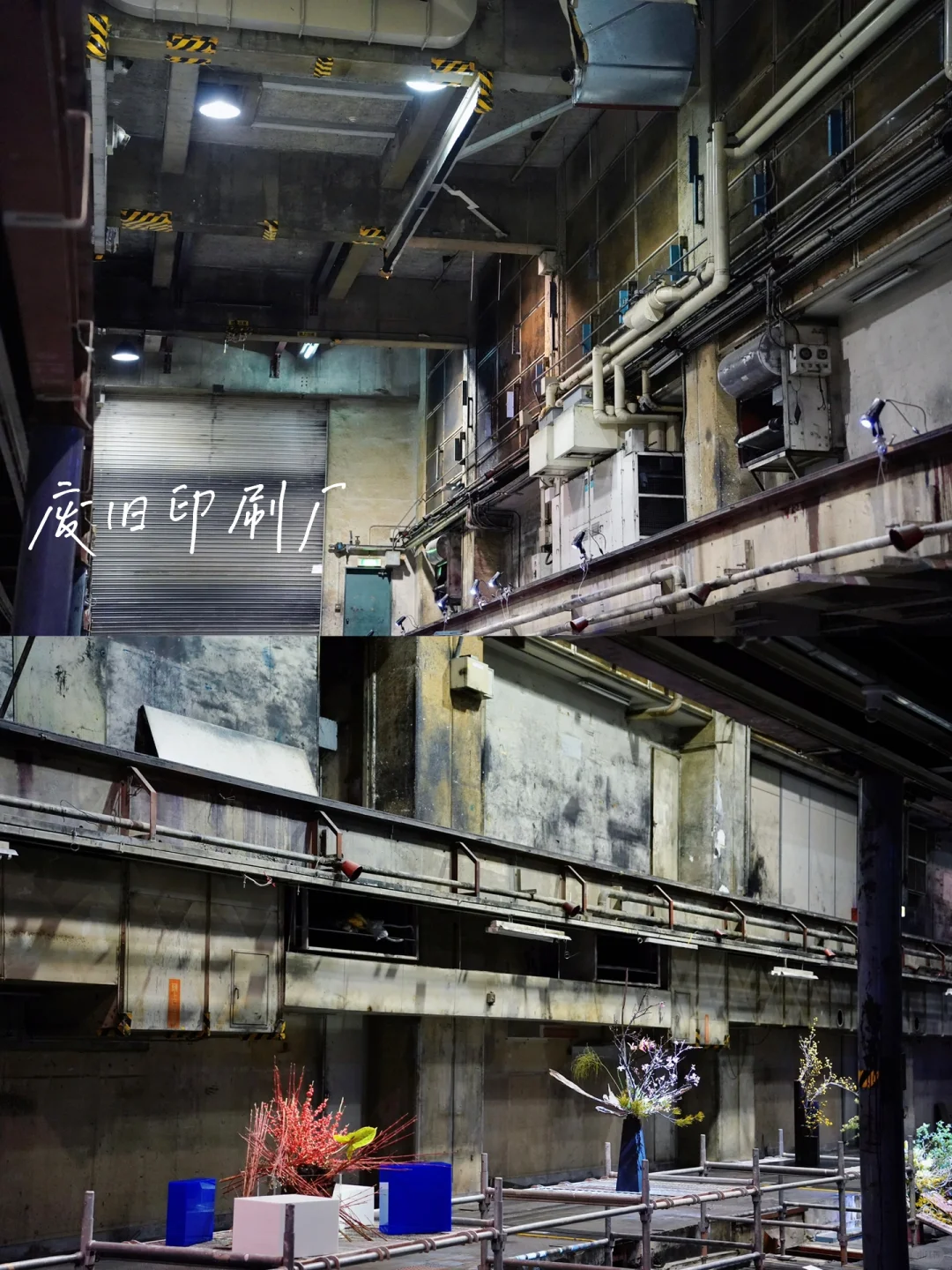 京都 Ⅰ 在废旧印刷厂看一场花道展