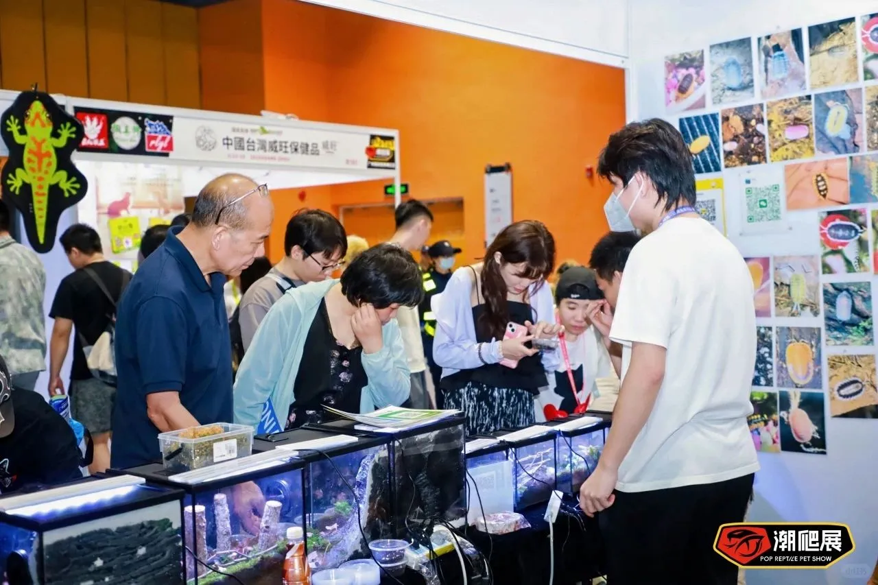 下一站武汉！潮爬展的“中部攻略”正式启动