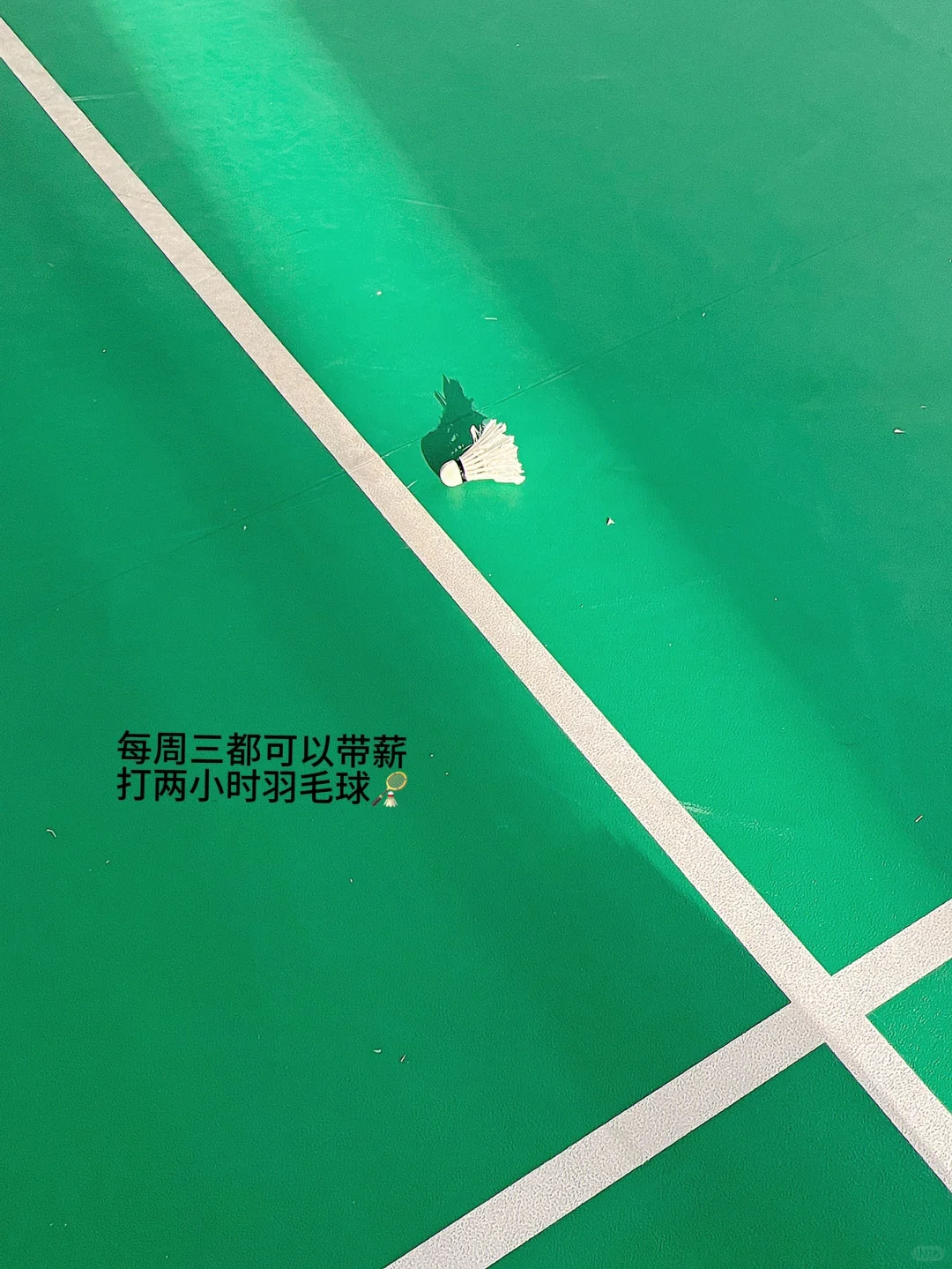 采购plog｜采购一天到底在忙什么