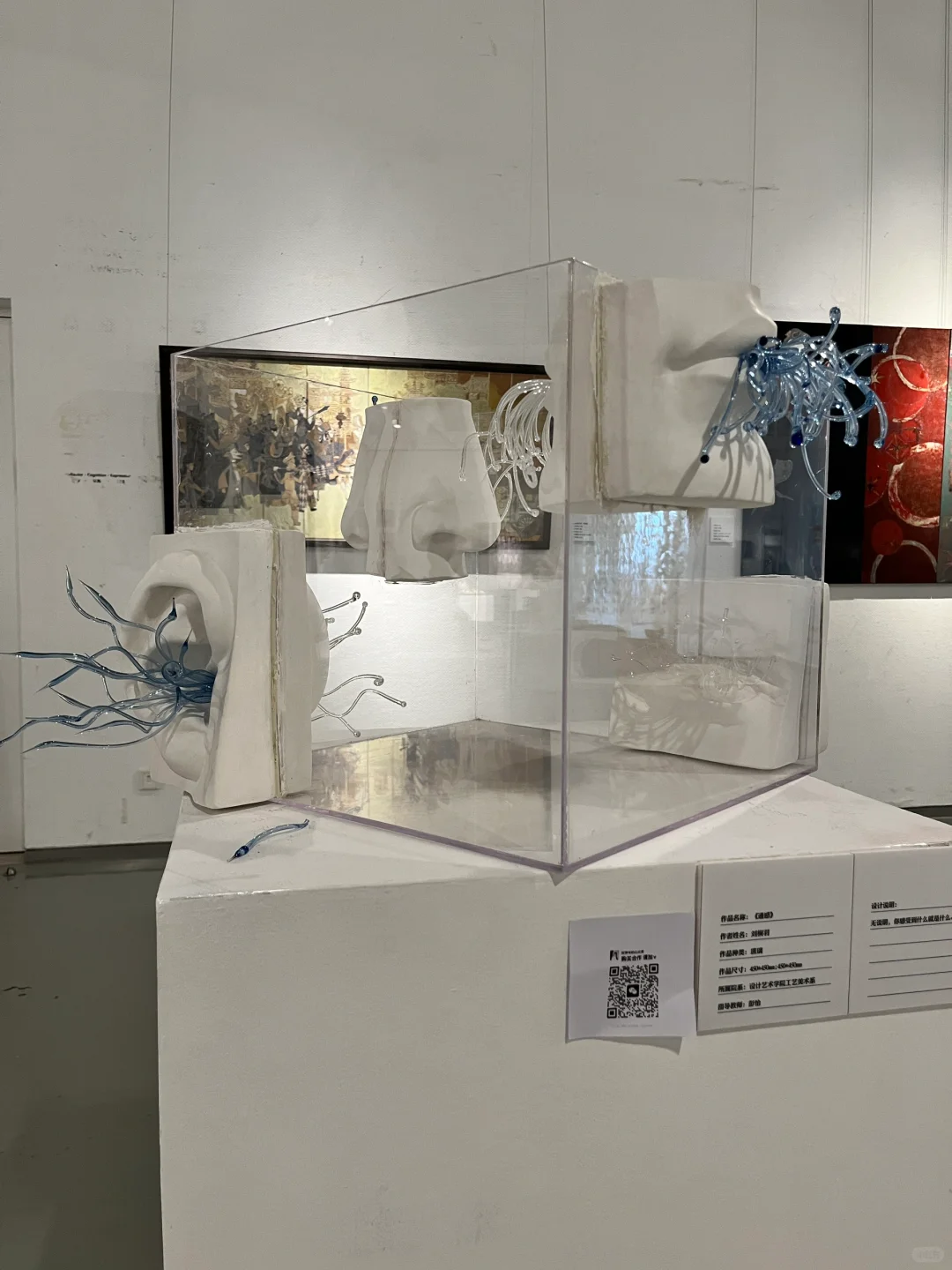 天美毕业展 滨海居然收费！？别的馆都免费