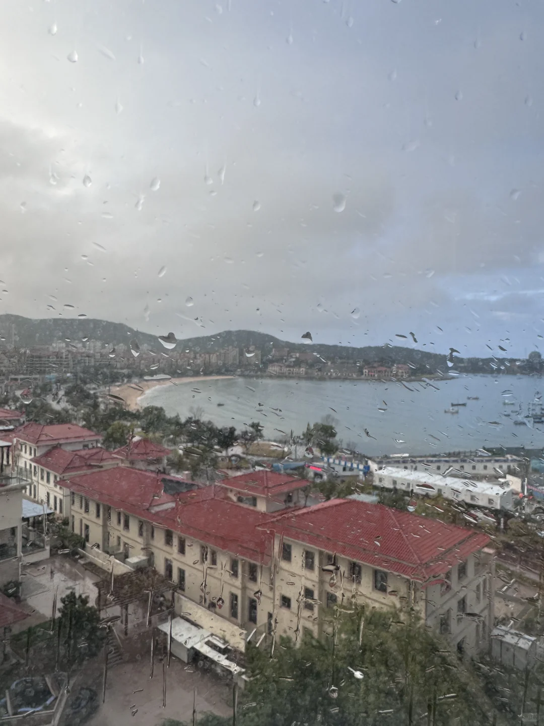 就因为这窗户，我决定窝家里不外出了