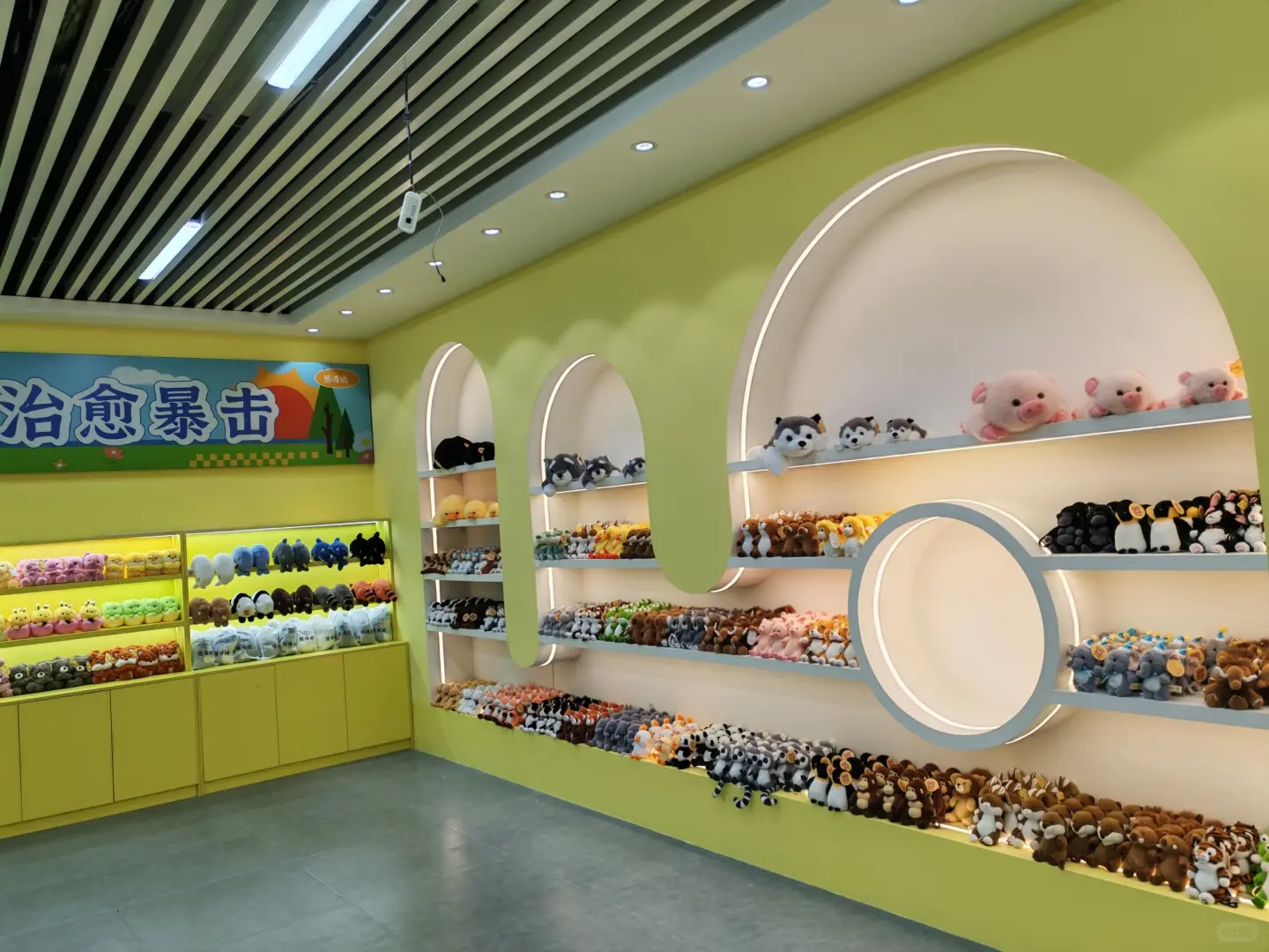 这个展也太好看了吧～～?