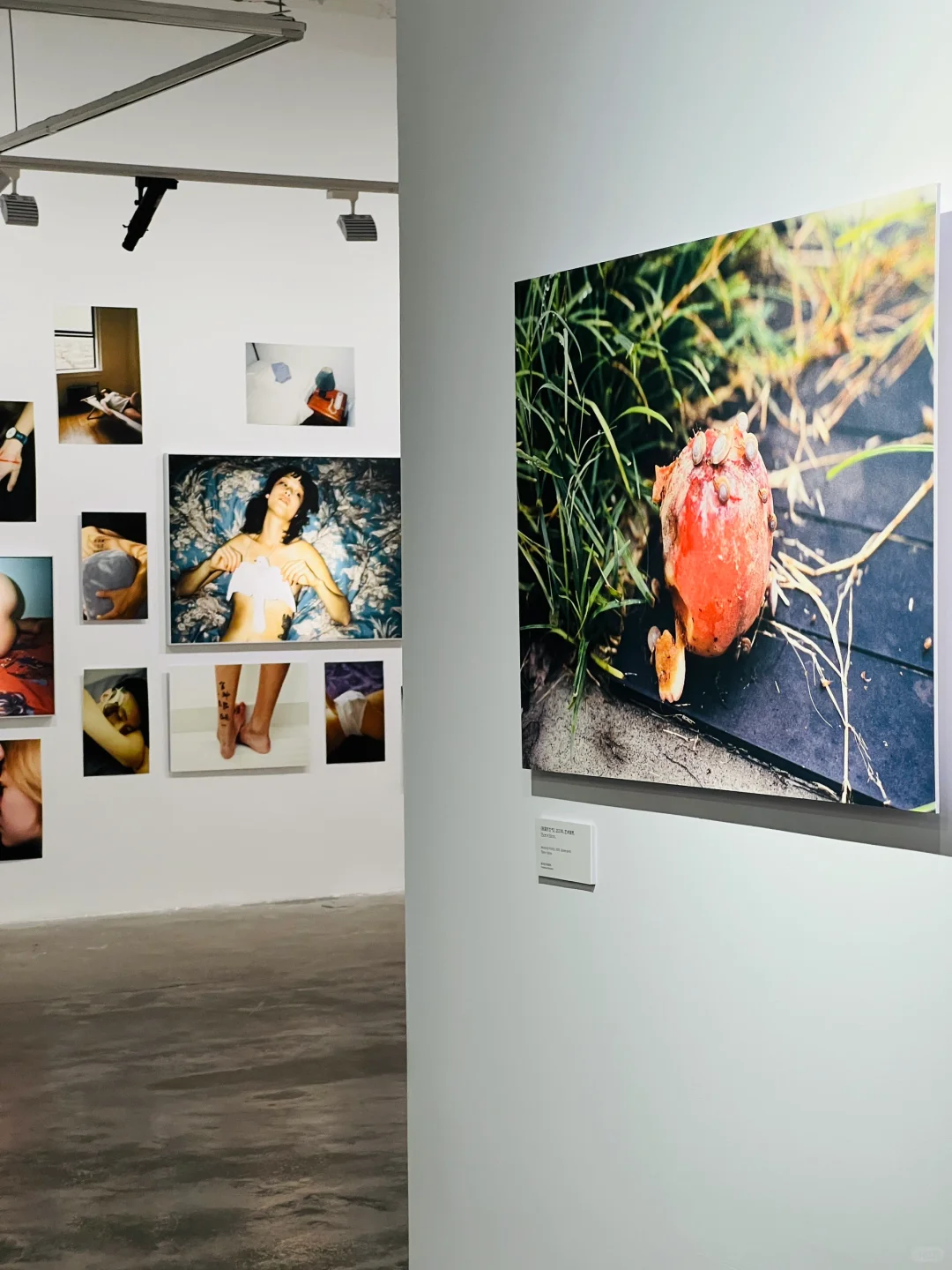 厦门7-8月看展合集‼️暑期展览资讯看这里