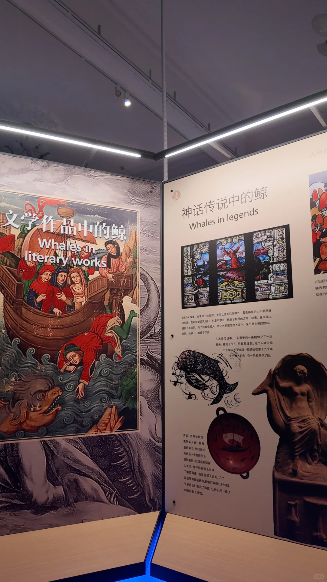 石家庄遛娃丨暑期打卡河博四场临展?