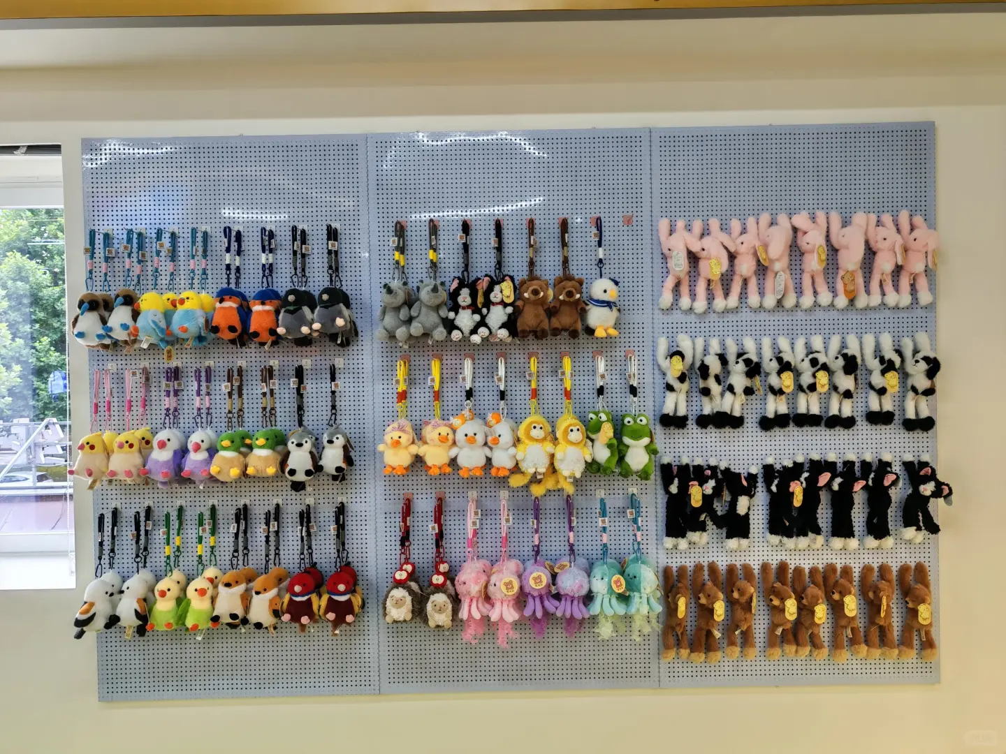 这个展也太好看了吧～～?