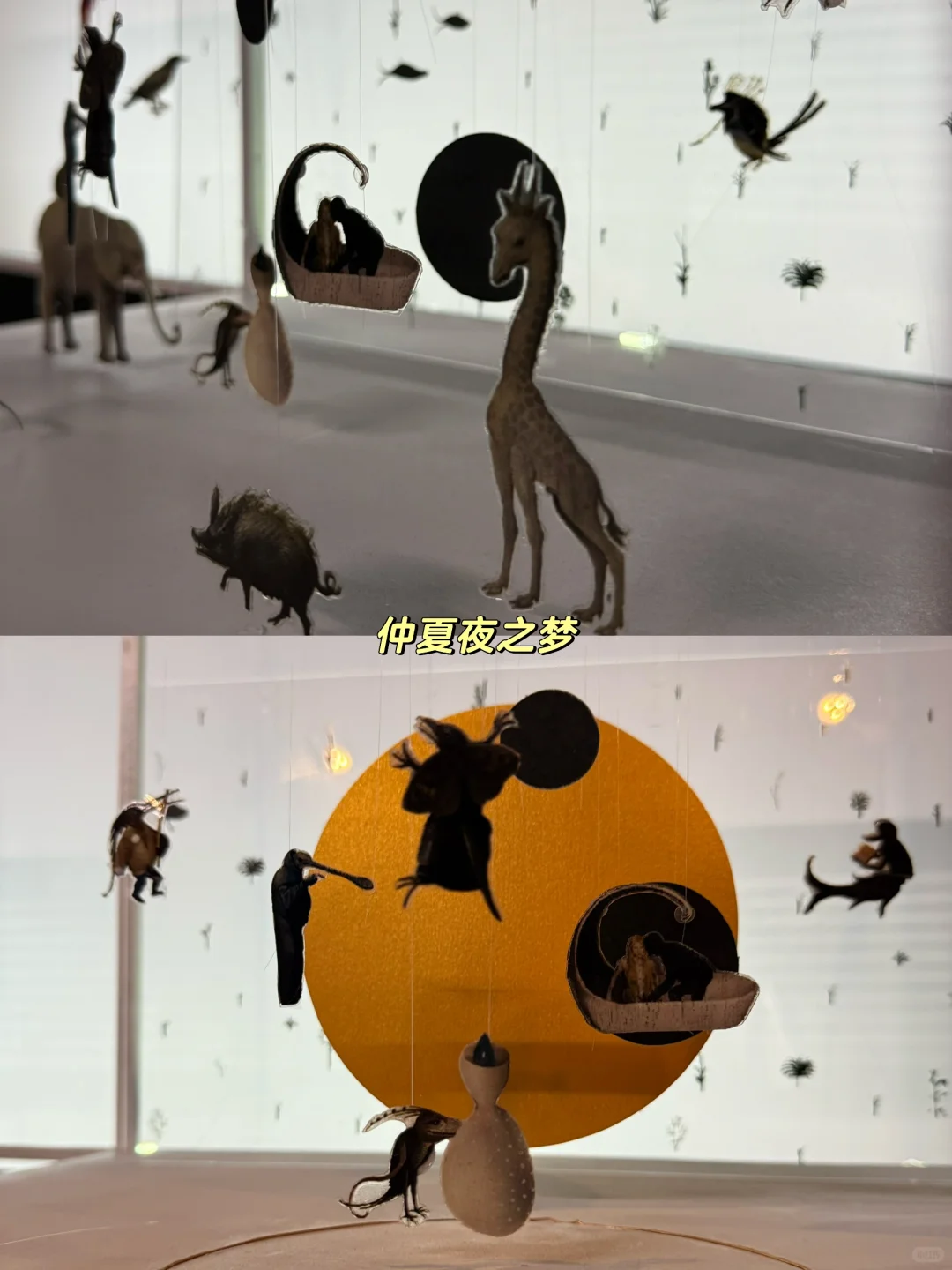 中戏舞台设计毕业展