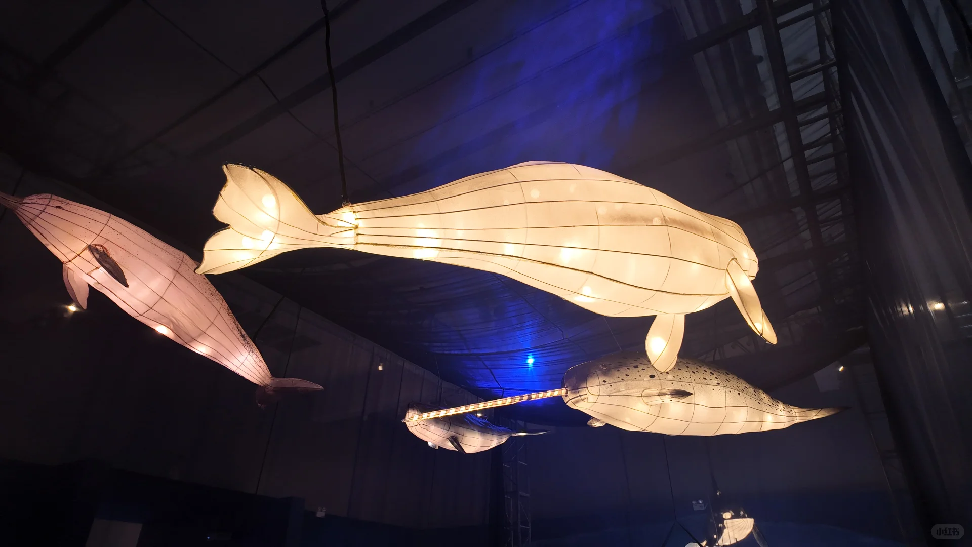 石家庄遛娃丨暑期打卡河博四场临展?