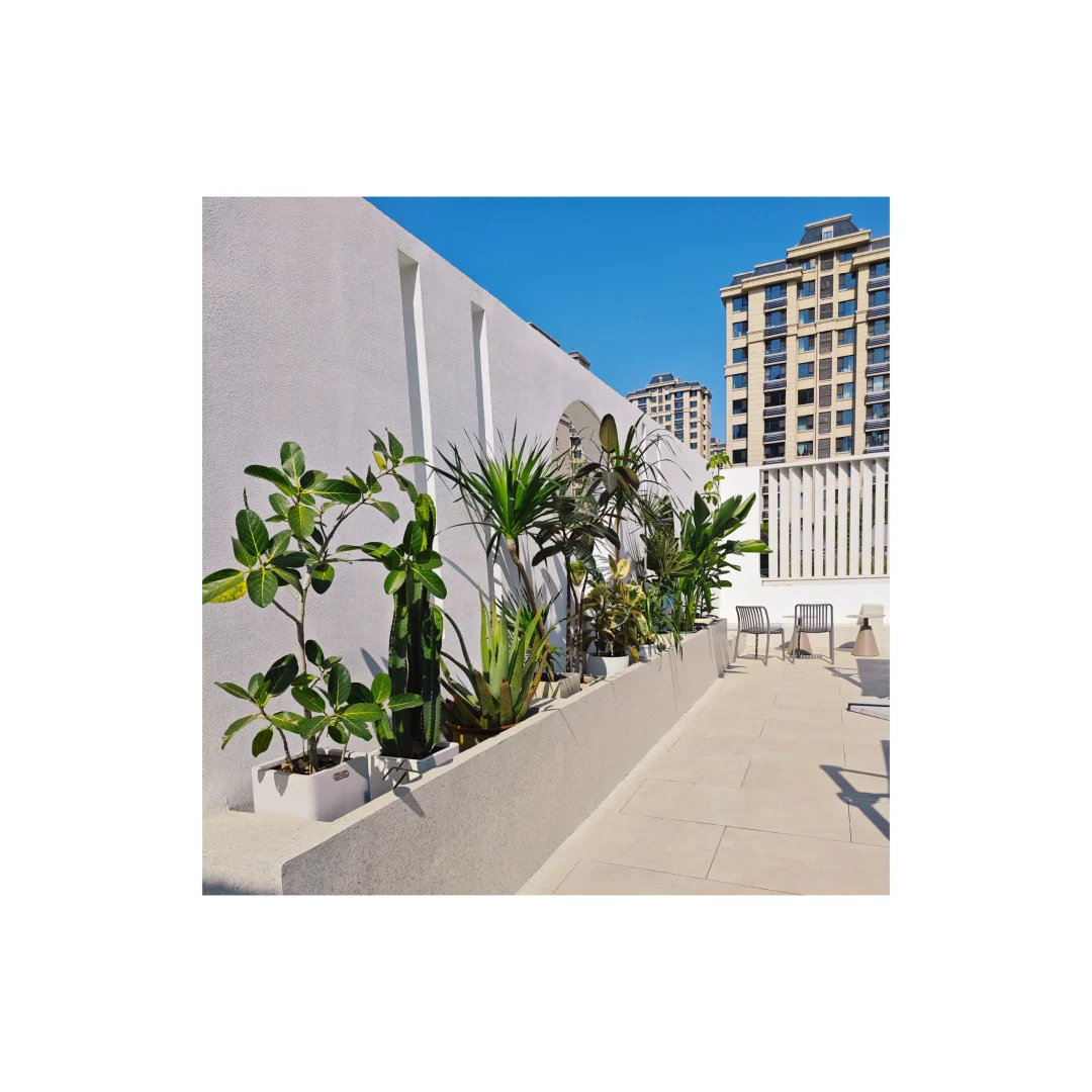 来邯郸棉三时光公园里的合空间拍照呀