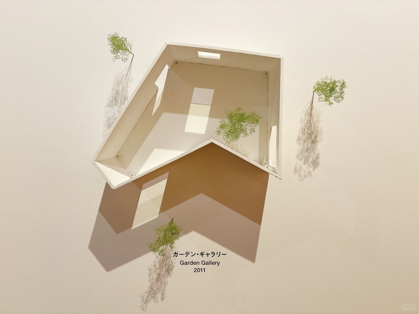 东京看展｜藤本壮介的建筑——原初·未来·森林