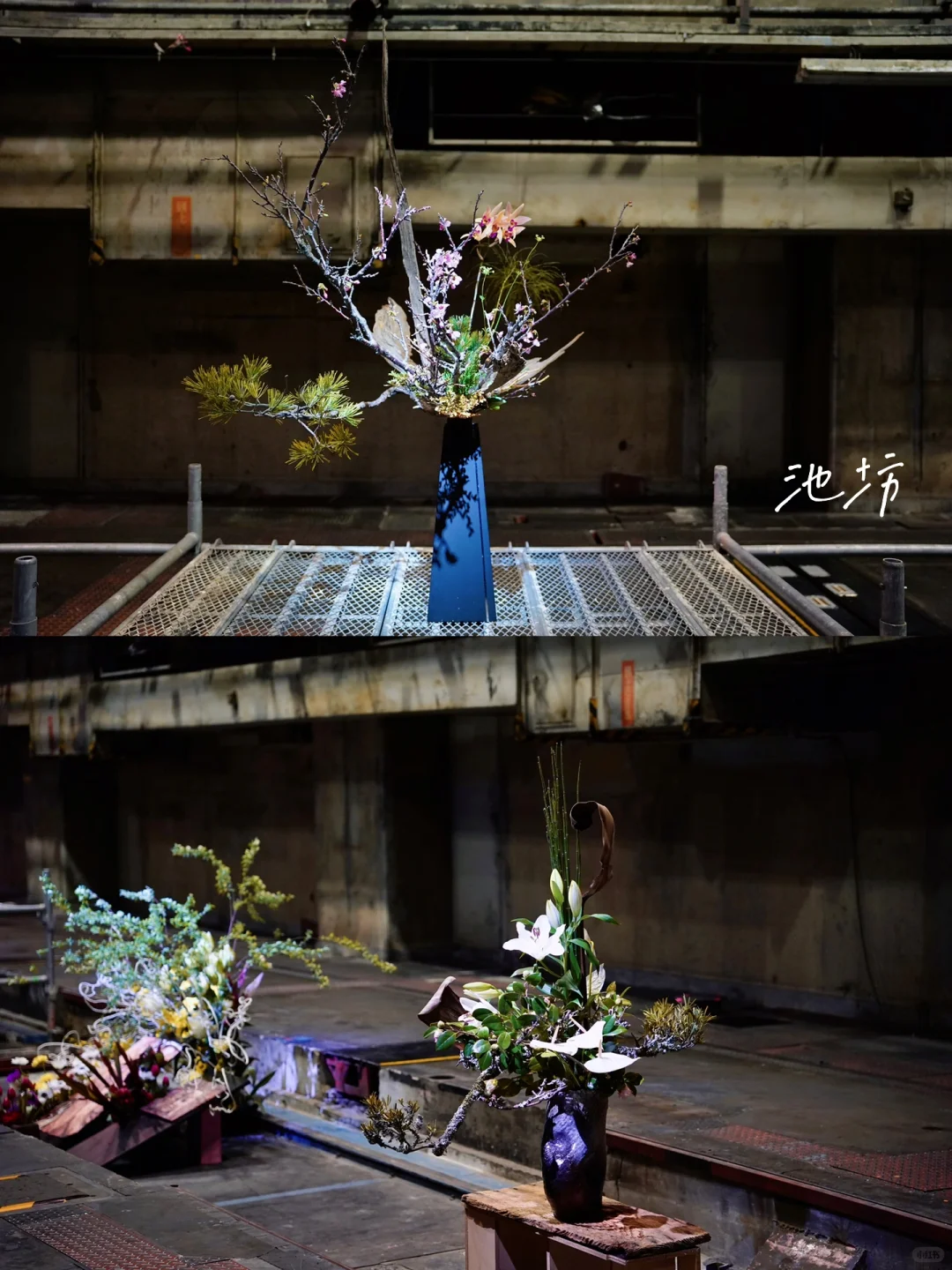 京都 Ⅰ 在废旧印刷厂看一场花道展