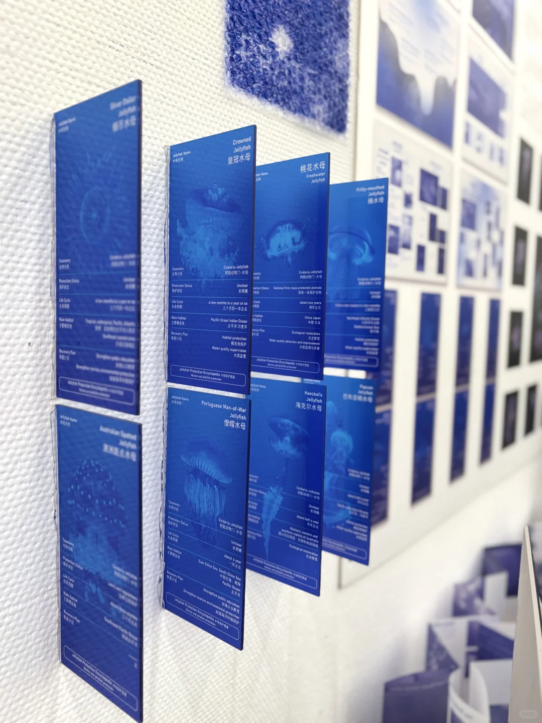 江宁美术馆毕业设计展