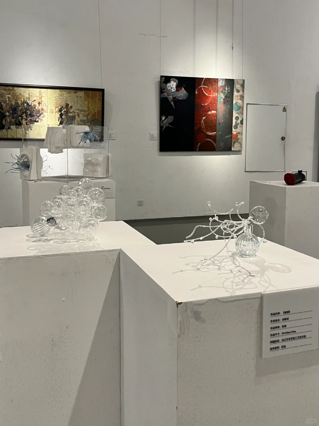 天美毕业展 滨海居然收费！？别的馆都免费