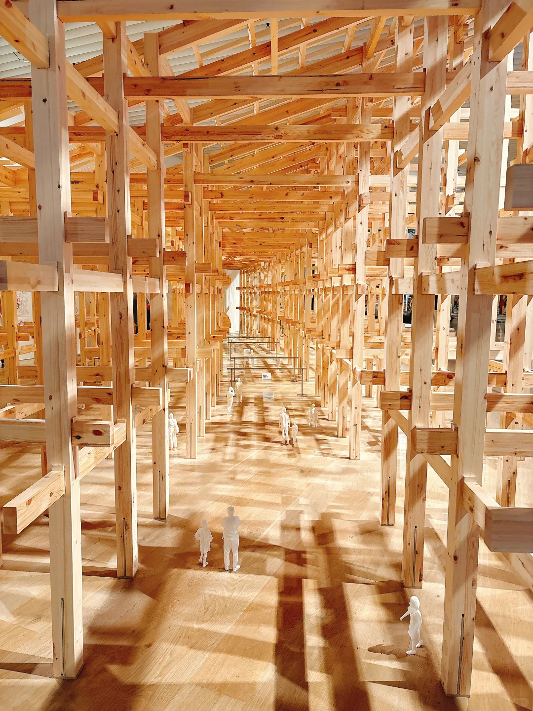 东京看展｜藤本壮介的建筑——原初·未来·森林