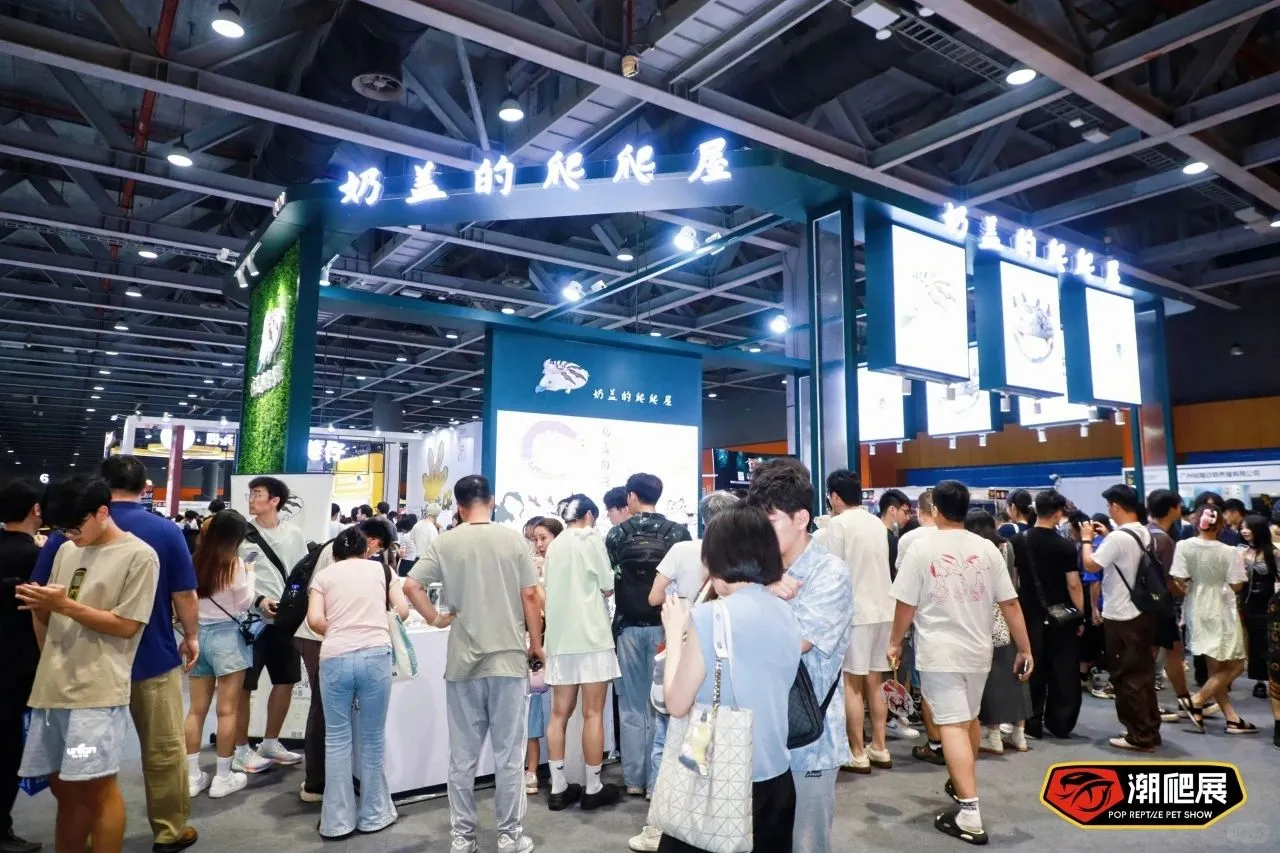 下一站武汉！潮爬展的“中部攻略”正式启动