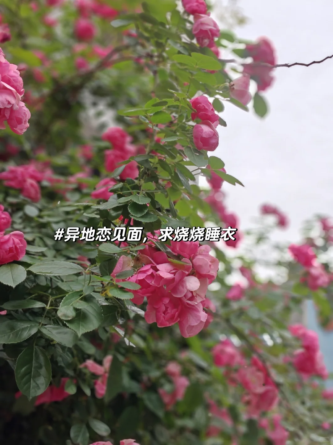 有没有又性感又纯欲的睡衣