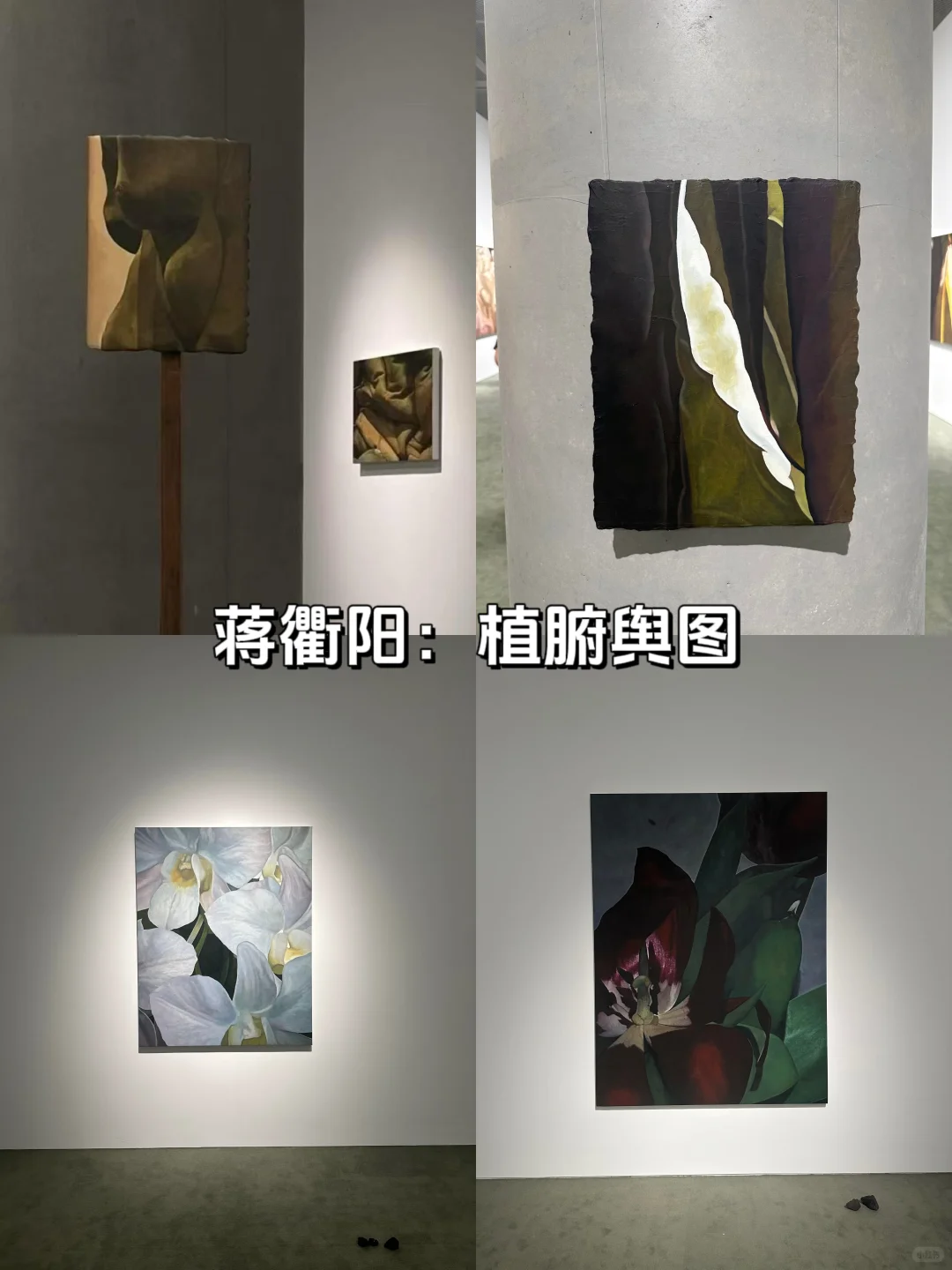 杭州7月展讯暴击！9场0元神仙展速戳