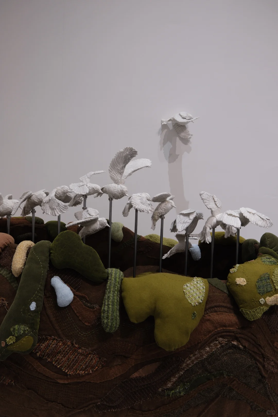 踩着毕业展的尾巴、回广美看展～?