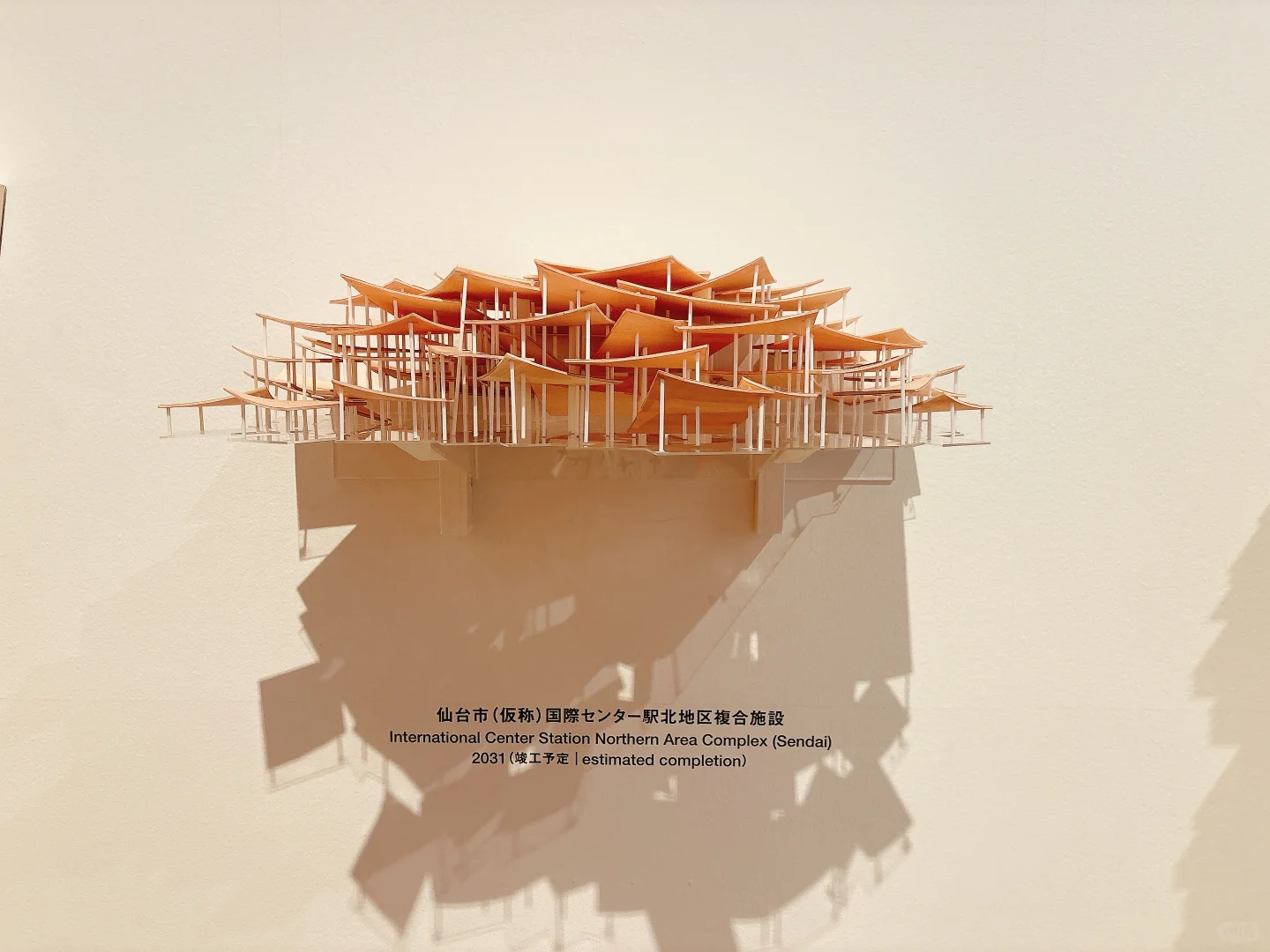 东京看展｜藤本壮介的建筑——原初·未来·森林