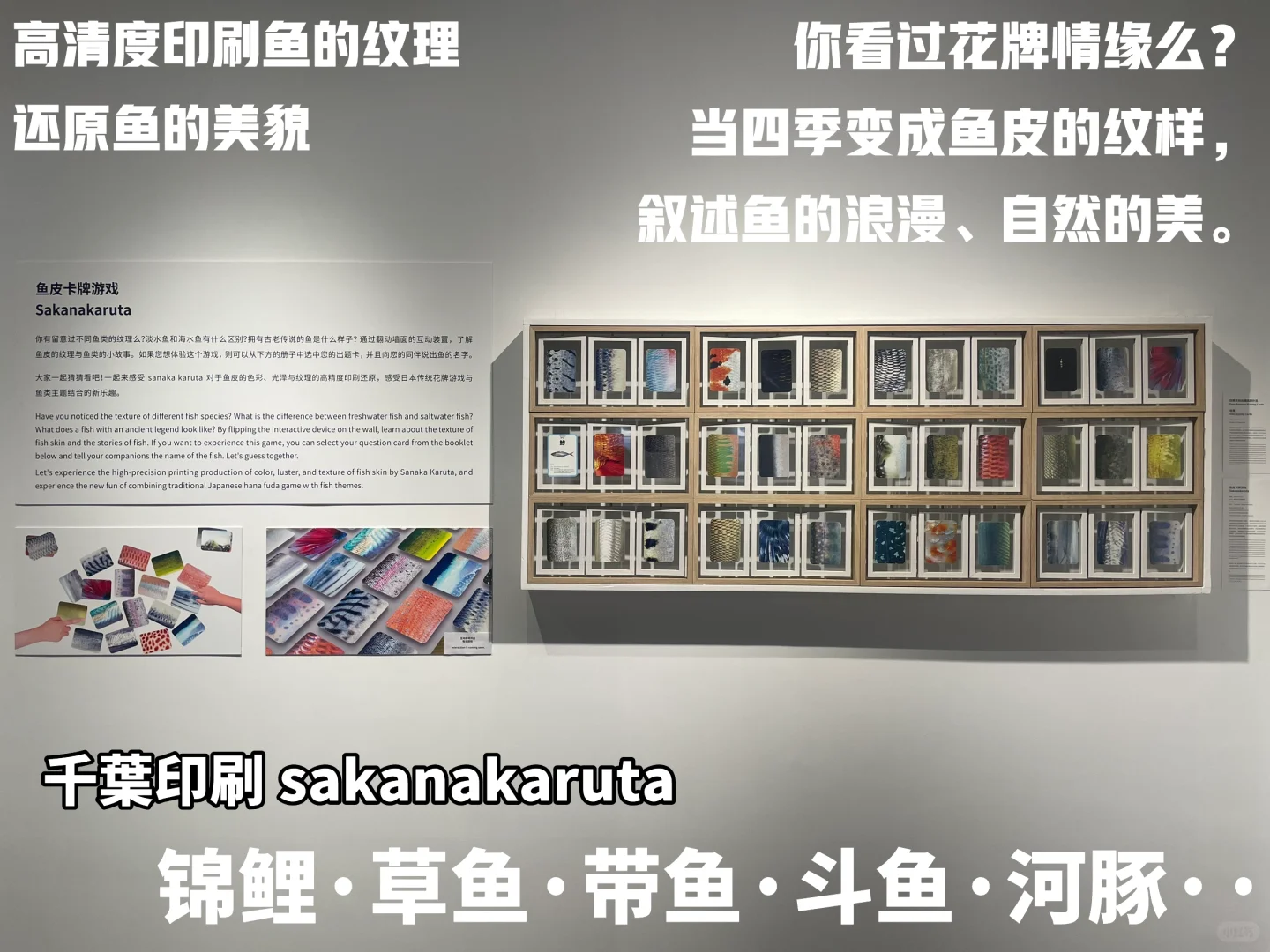 出片艺术风红点新展？传统与现代设计