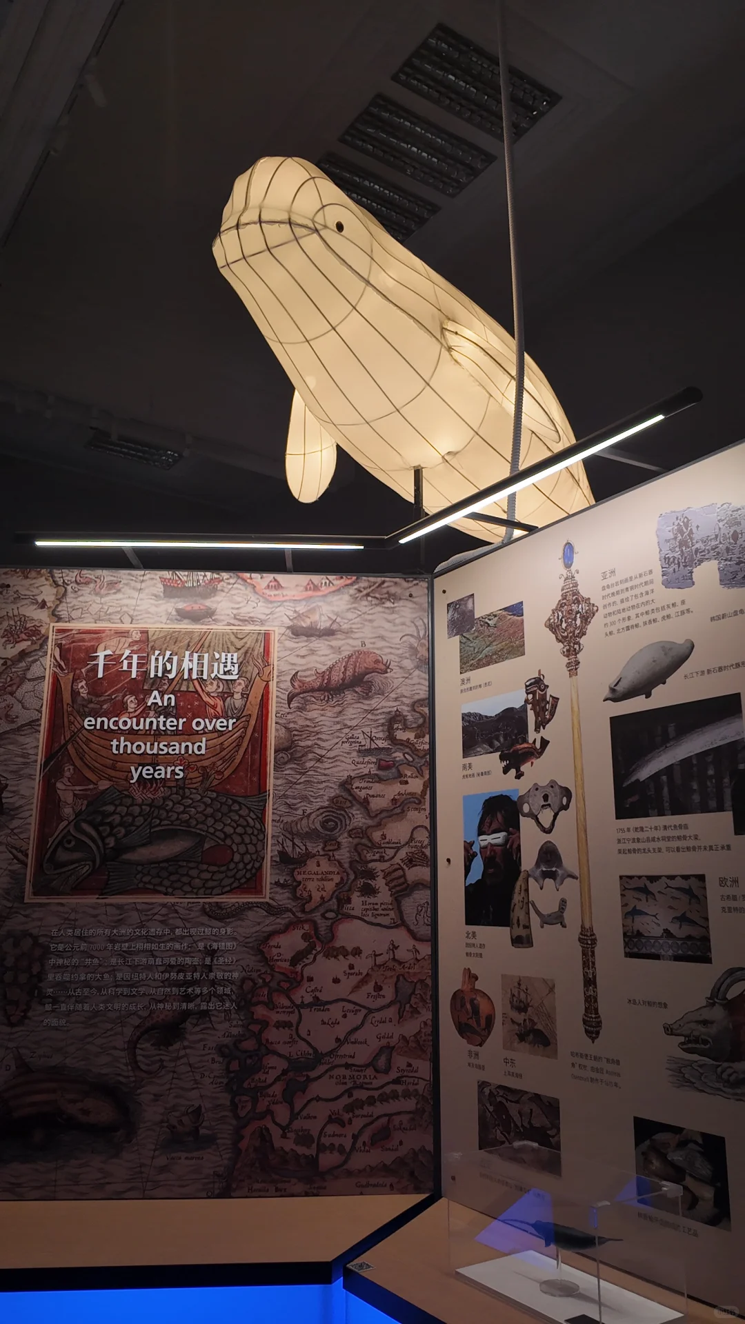 石家庄遛娃丨暑期打卡河博四场临展?