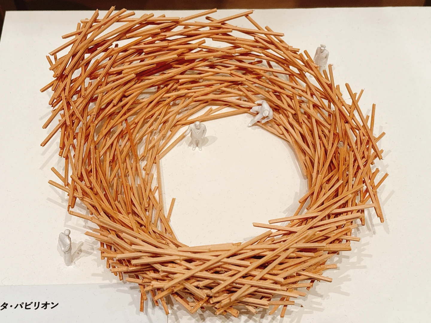 东京看展｜藤本壮介的建筑——原初·未来·森林