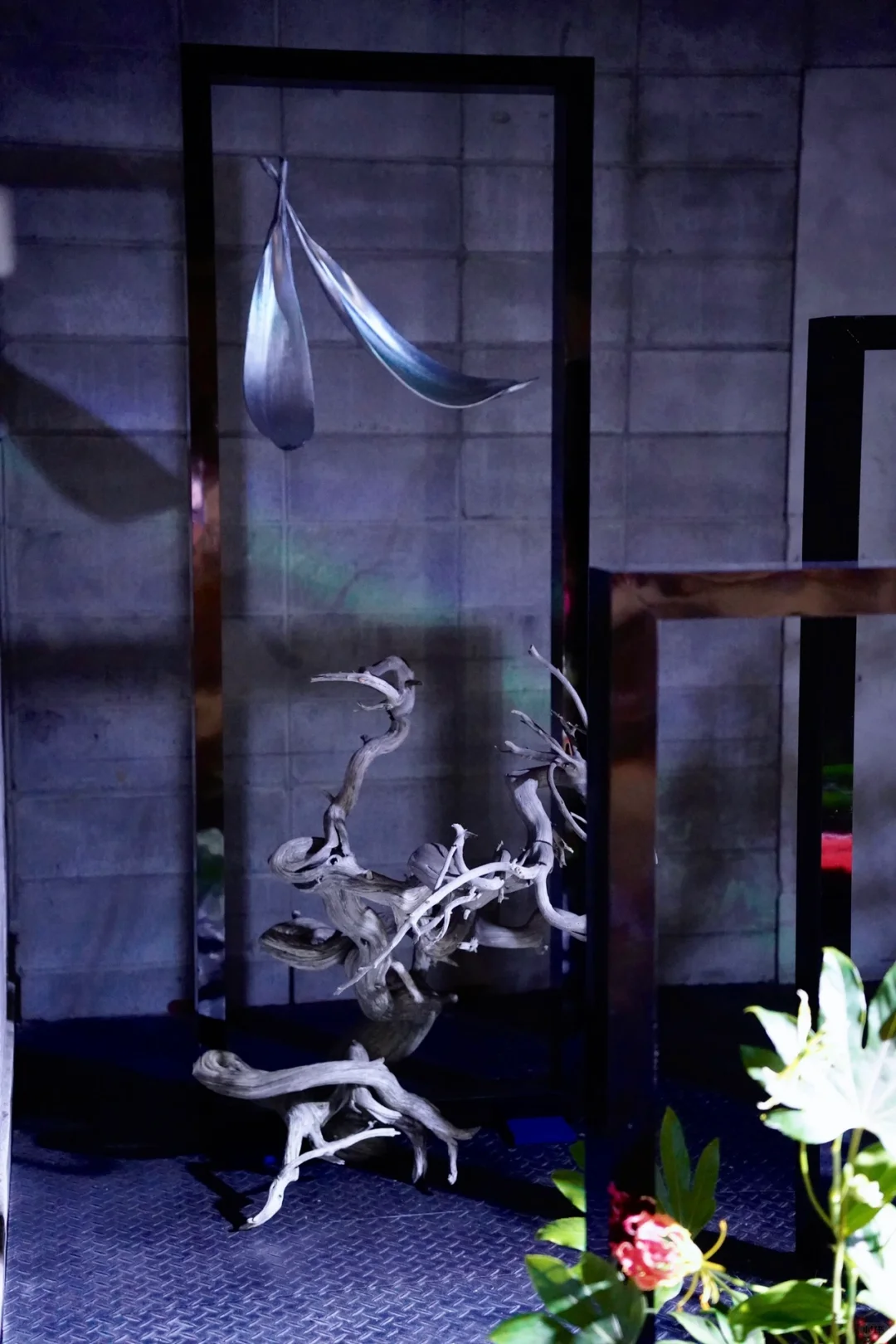 京都 Ⅰ 在废旧印刷厂看一场花道展