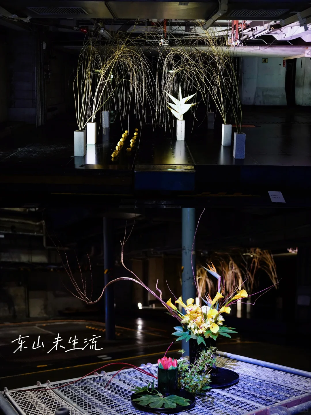 京都 Ⅰ 在废旧印刷厂看一场花道展