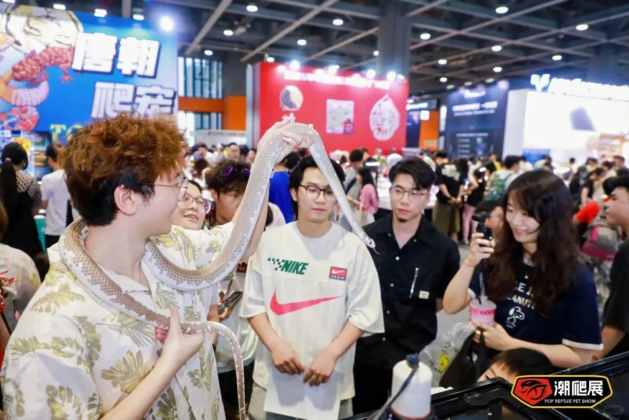 下一站武汉！潮爬展的“中部攻略”正式启动