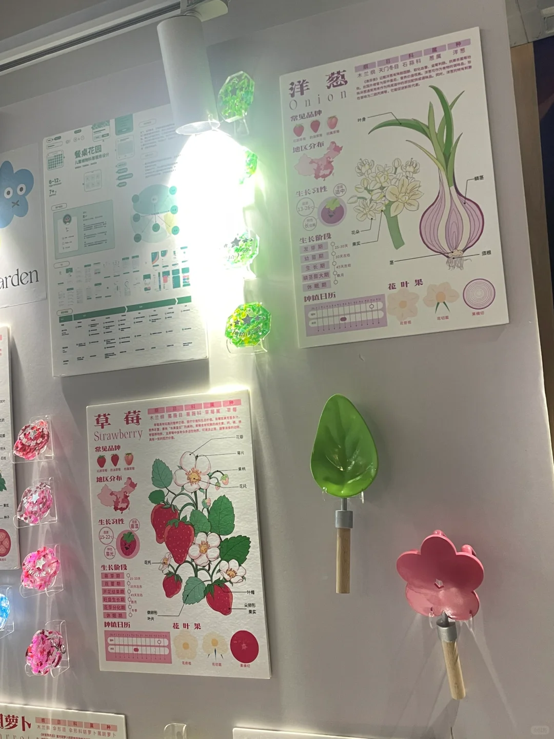 北服本科毕业展看了?