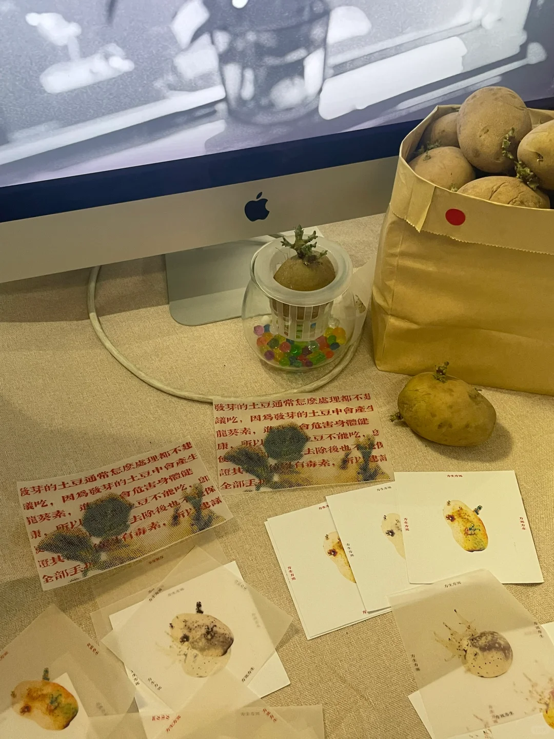 北服本科毕业展看了?