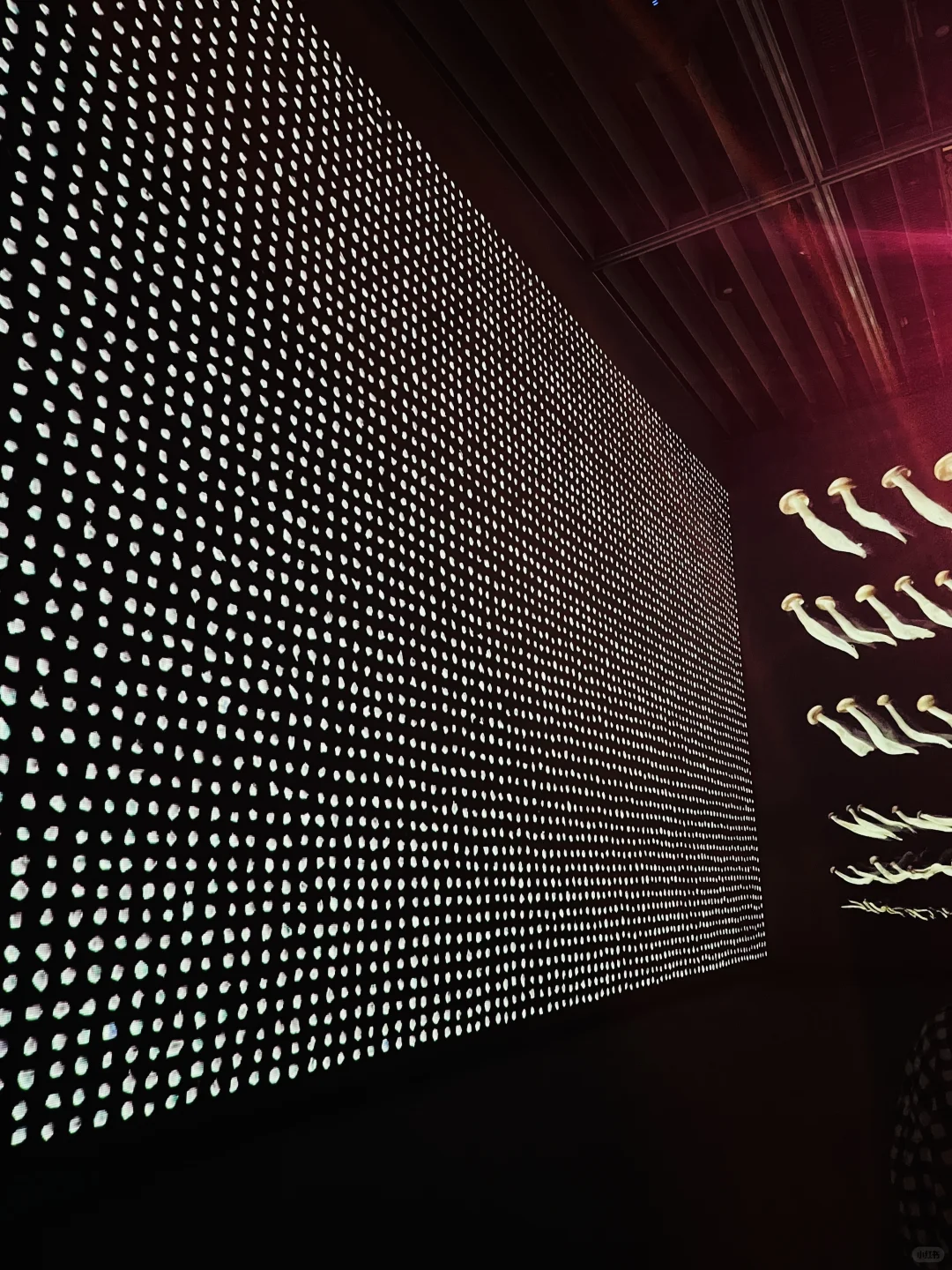 日本设计为何这么强｜这个展览终于开展?