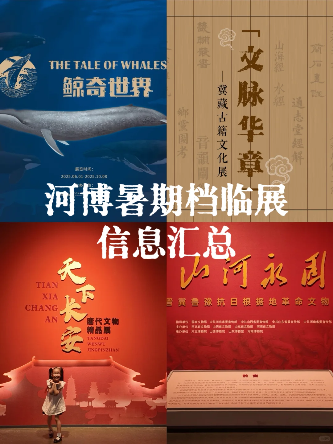 石家庄遛娃丨暑期打卡河博四场临展?