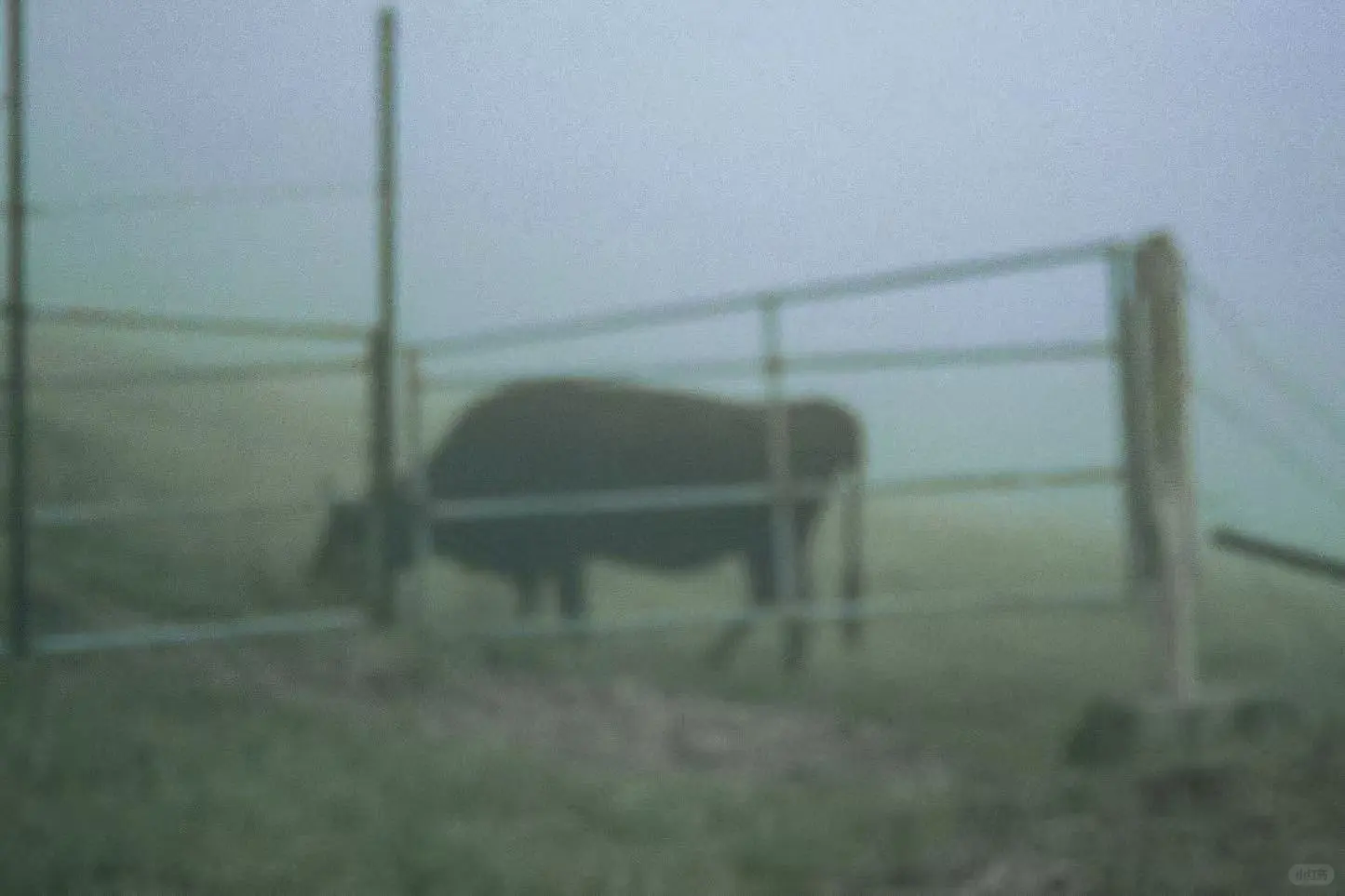 「Nice To Meet You Vol.1」展览预告