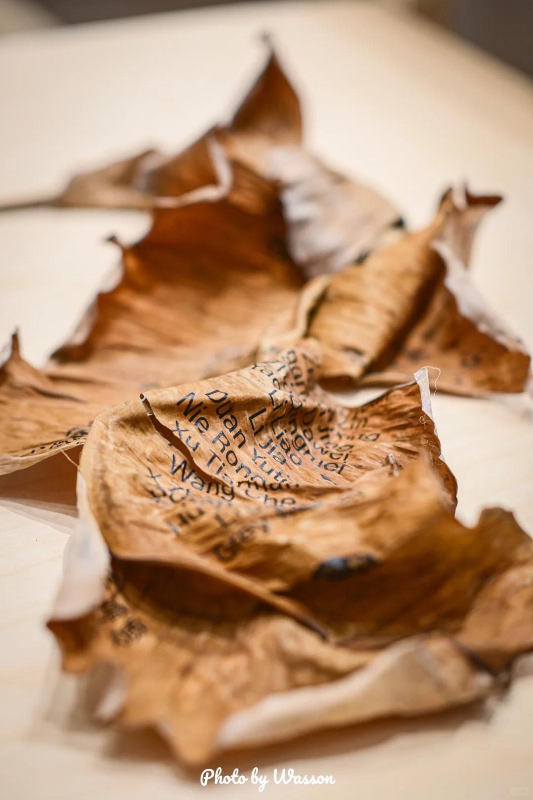 广州O不OK❔很OK❕