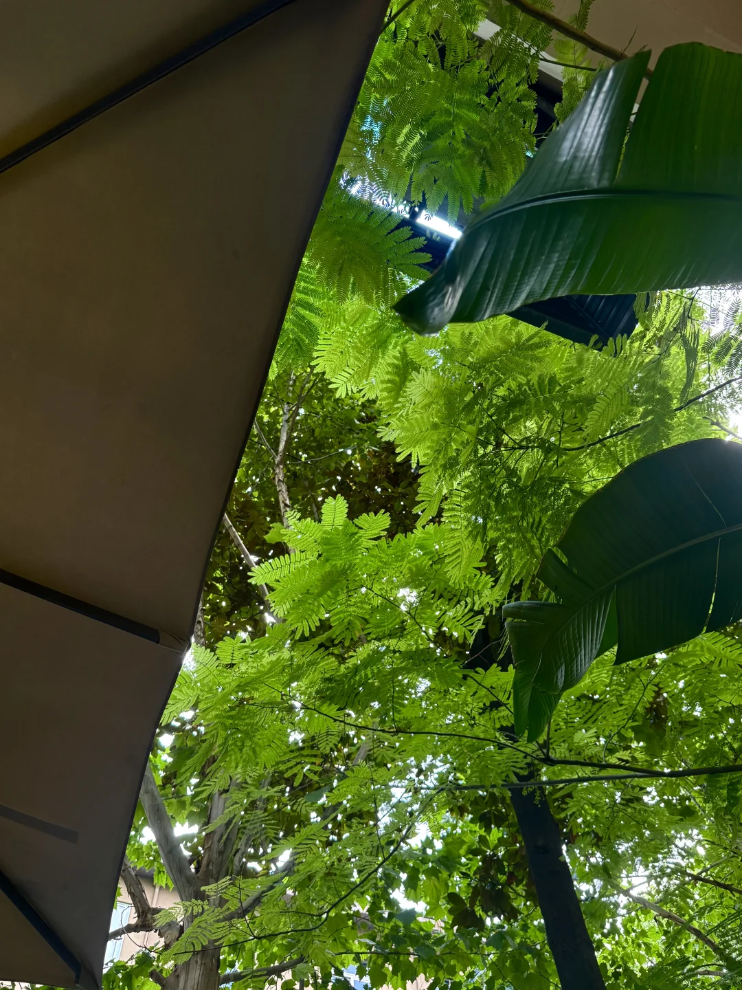 金华最适合Citywalk的路线！看展逛吃一整天！