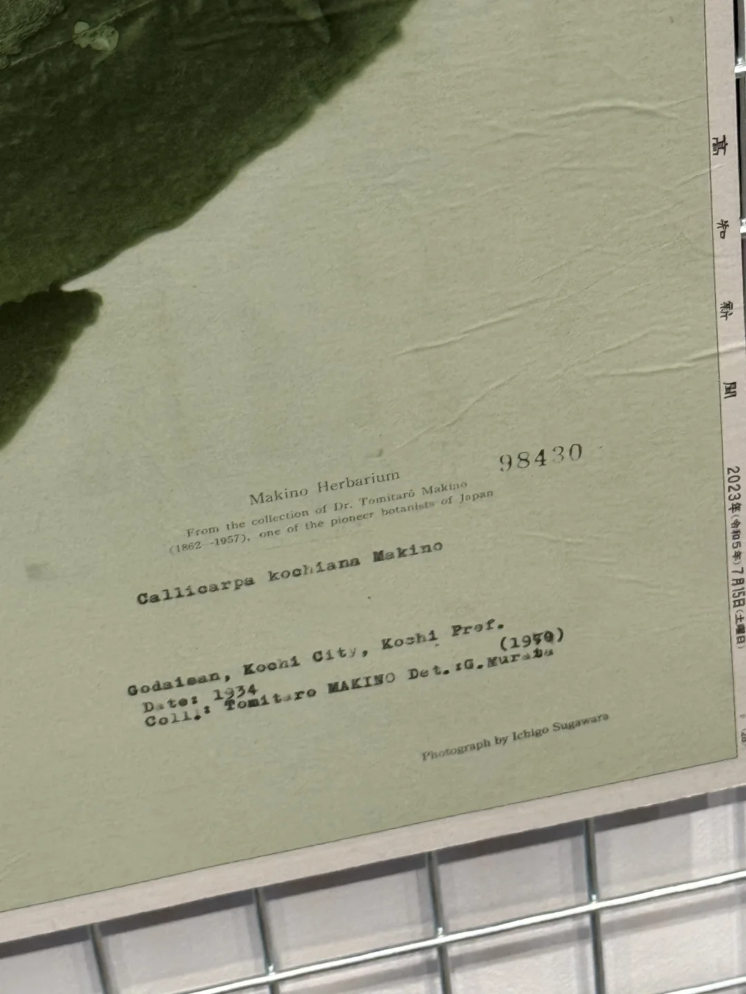 不能错过的?上海少有的平面设计展?️