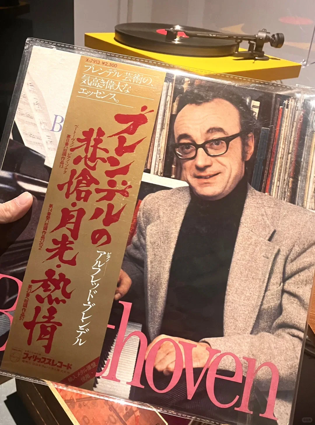 汕头6月活动合集-1/2持续更新