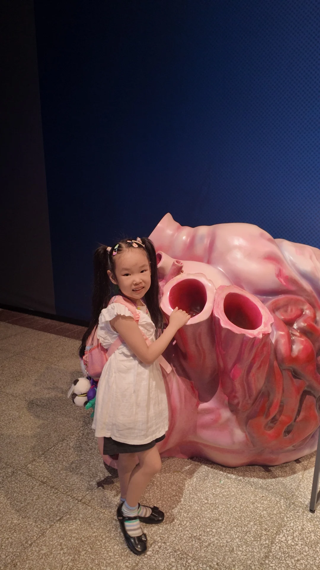 石家庄遛娃丨暑期打卡河博四场临展?