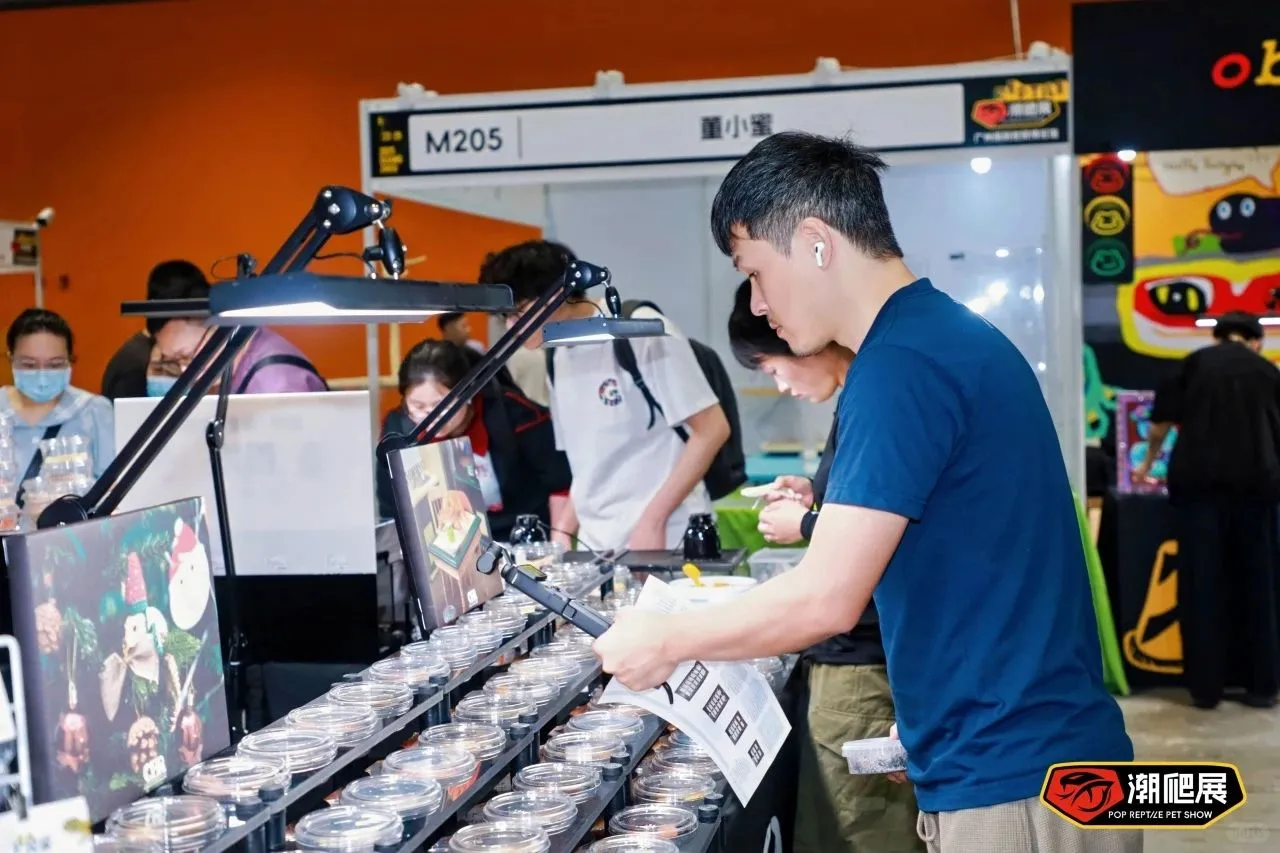 下一站武汉！潮爬展的“中部攻略”正式启动