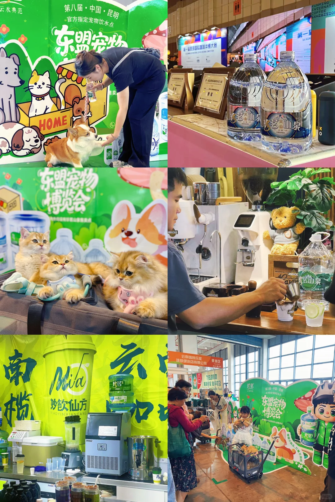 ☕️咖啡醇香?宠物超萌，简直不要太好逛啦！